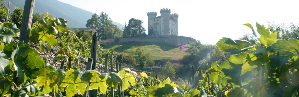 Les vignobles et le château d'Aymavilles