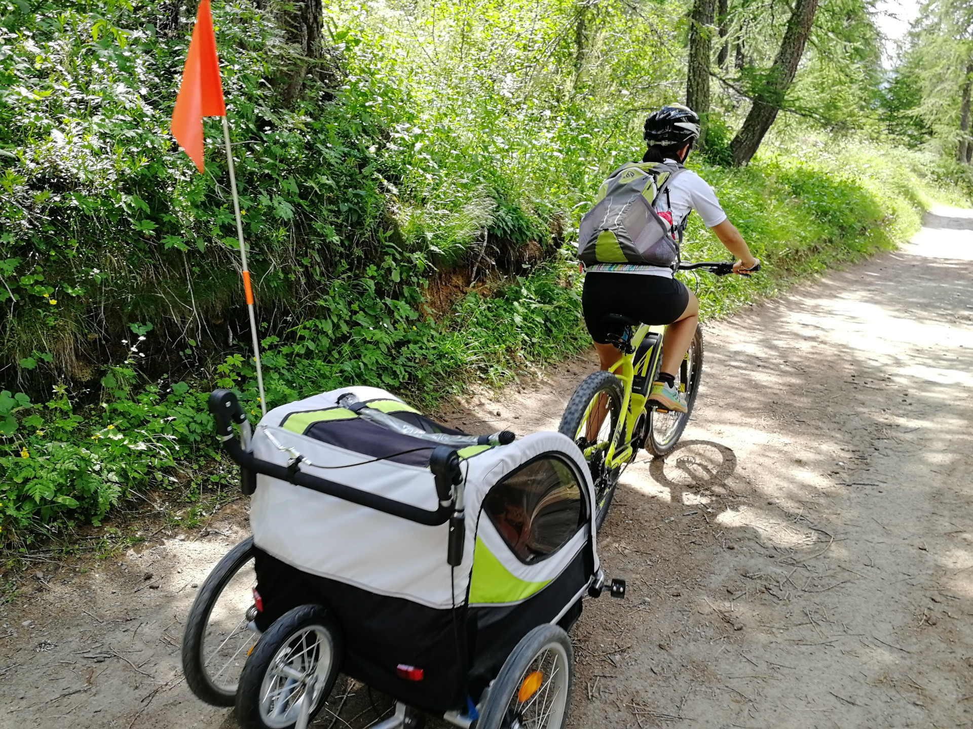 Alquiler de bicicletas