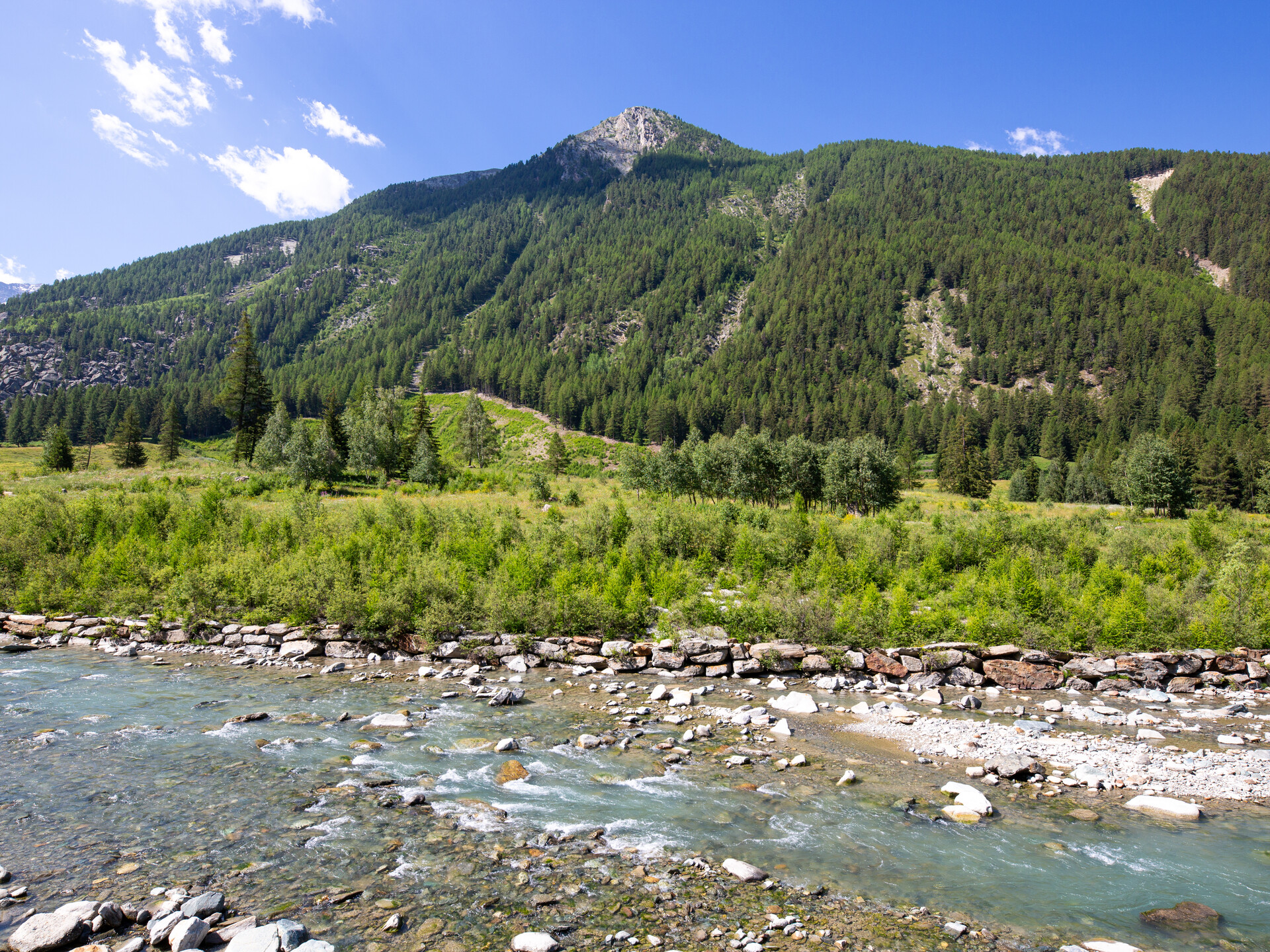 efectos del corrimineto de tierras