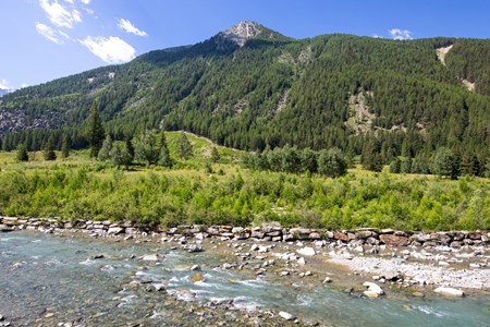 effects of the landslide