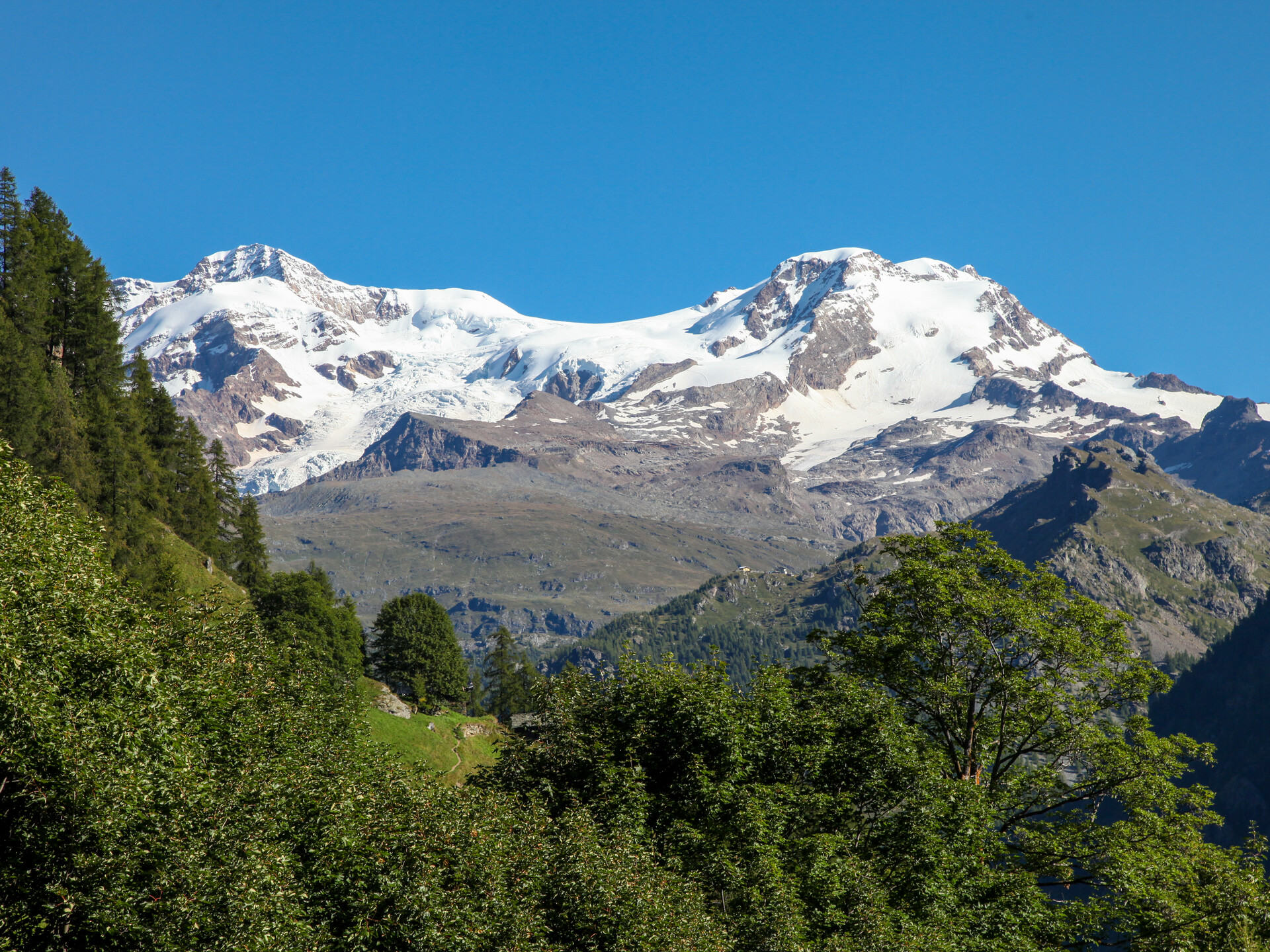 Catena del Monte Rosa - vista da Alpenzu (Gressoney-Saint-Jean)