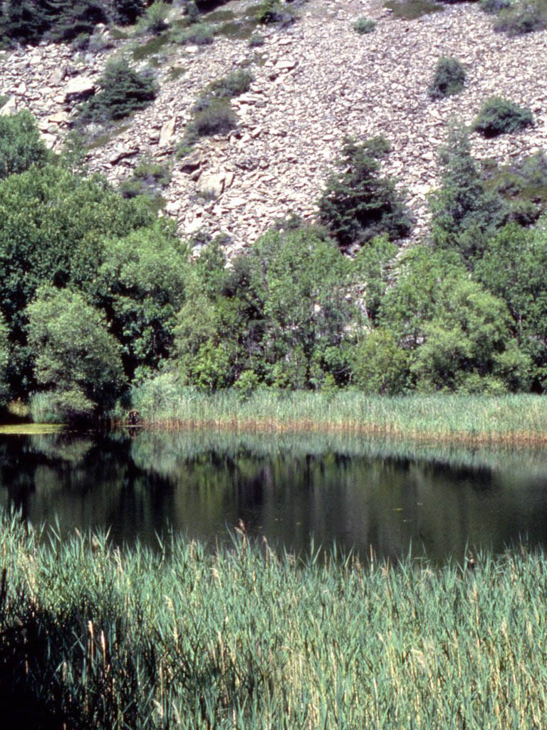 Lago Lolair - Arveir