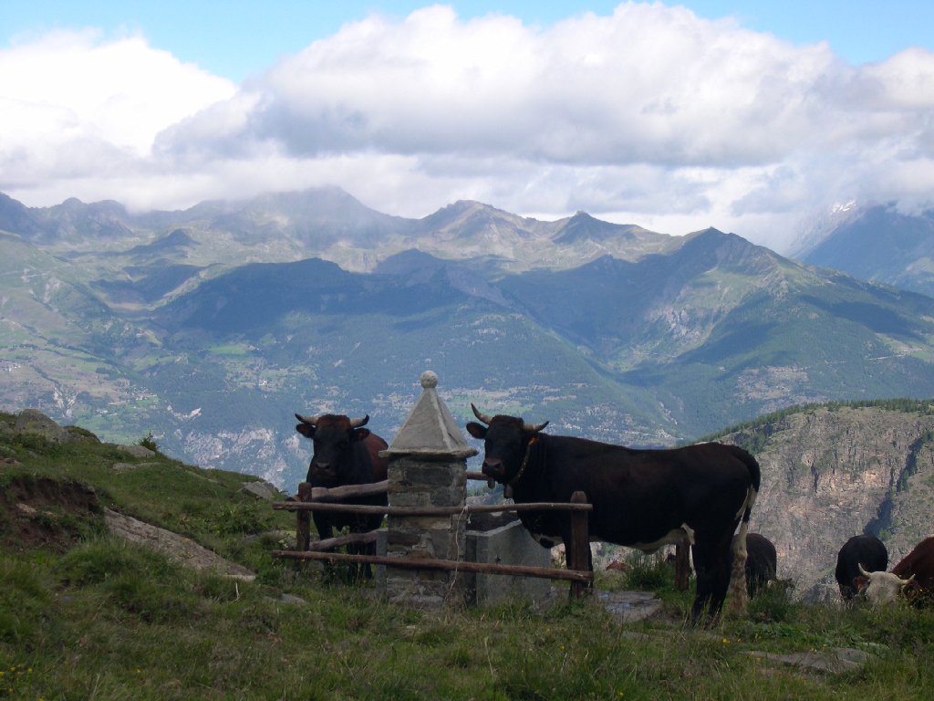 Alpe Petit Nomenon - Aymavilles