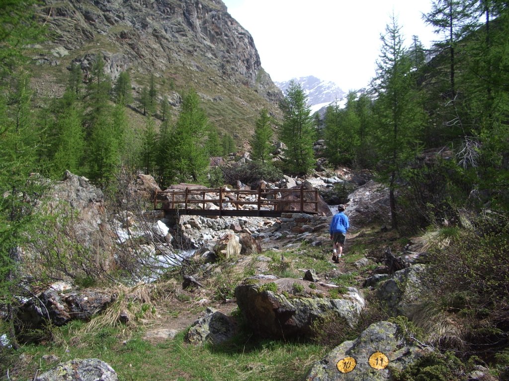 Ponte in legno sul Buthier - Bionaz