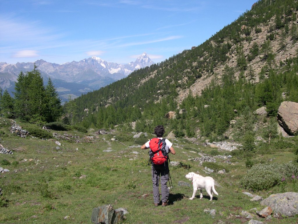 Sguardo al Monte Cervino - Chambave