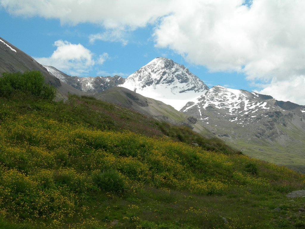 La Tersiva - Cogne