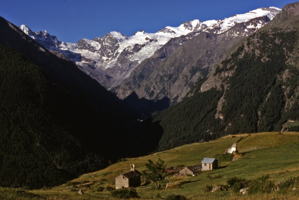 Vista sul Gran  Paradiso - Cogne