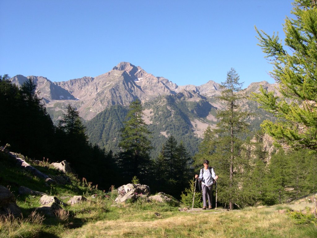 Sullo sfondo Mont Nery - Gressoney-Saint-Jean