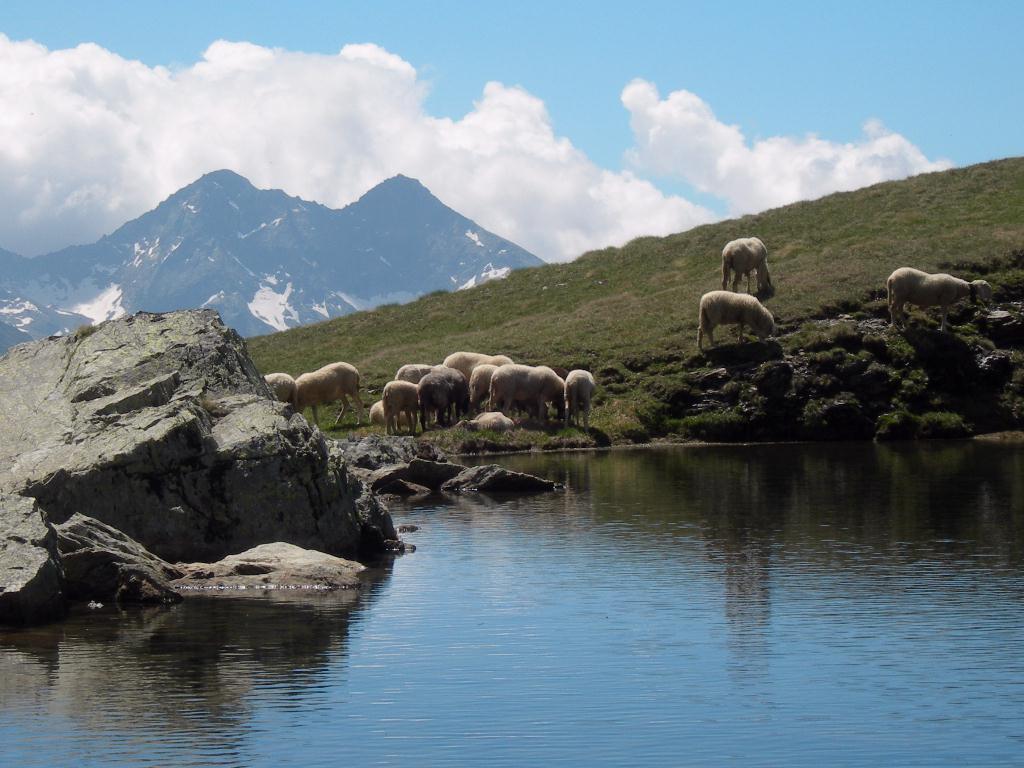 Lago Couillou