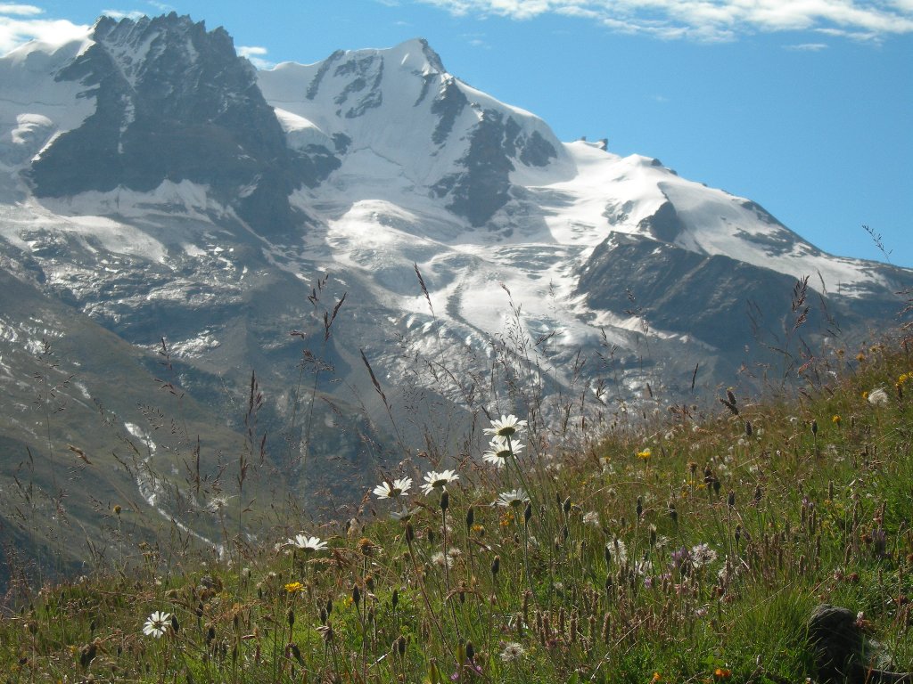 Il Grand Paradiso - Valsavarenche