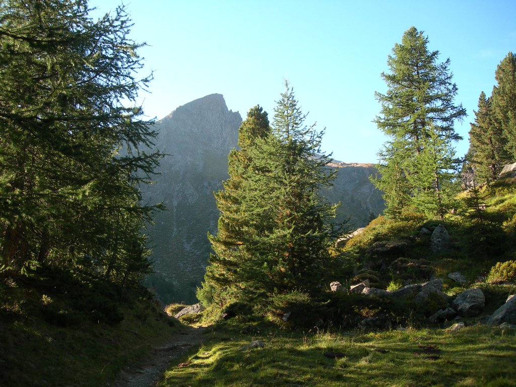 Nel vallone dell'Urtier - Cogne