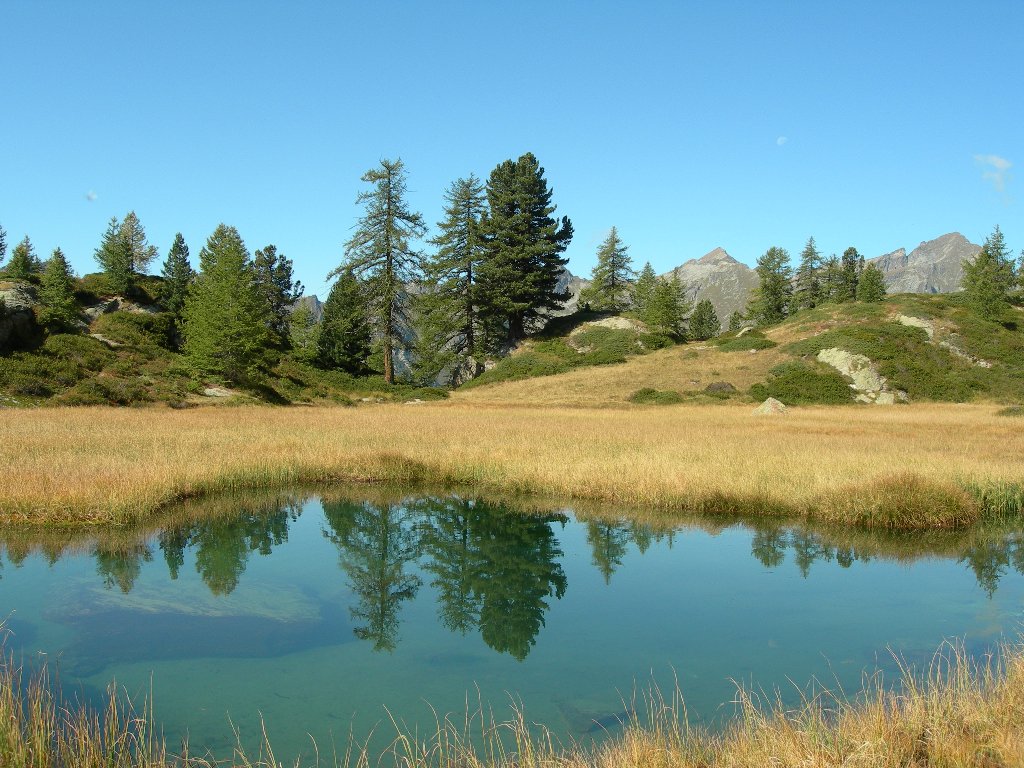 La Valle dei Principi - Gressoney-Saint-Jean