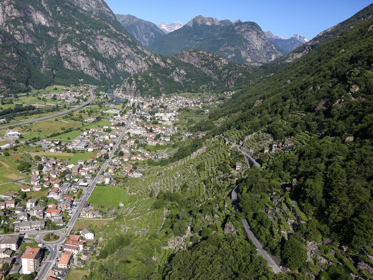 Vineyards between Donnas and Pont-Saint-Martin