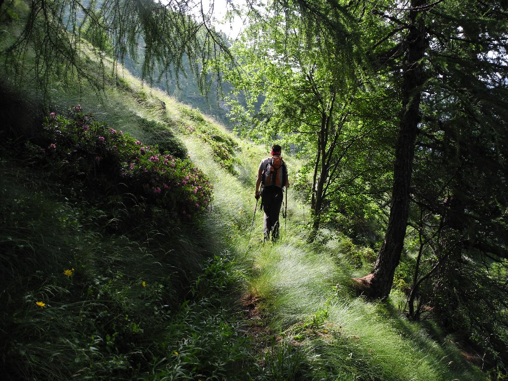 Verso il Colle Marmontana