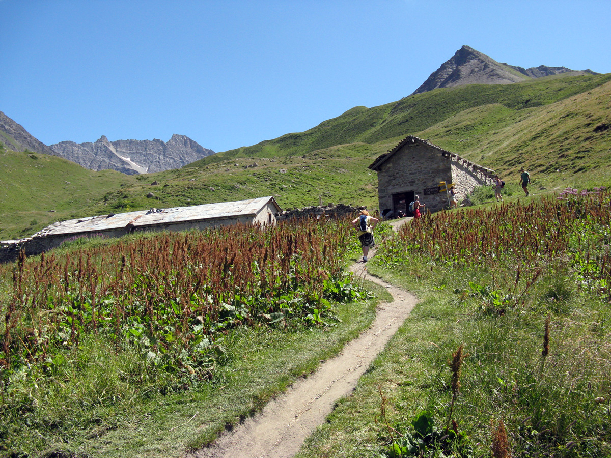 Summer pastures of Malatrà Superiore