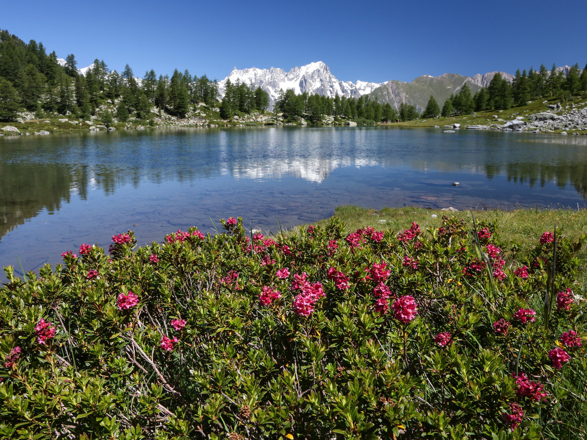 Arpy lake