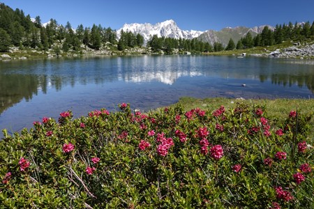 Lac d'Arpy