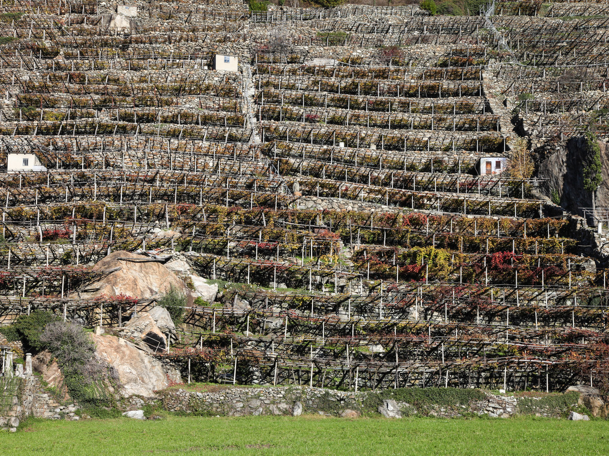 vigneti di Pont-Saint-Martin