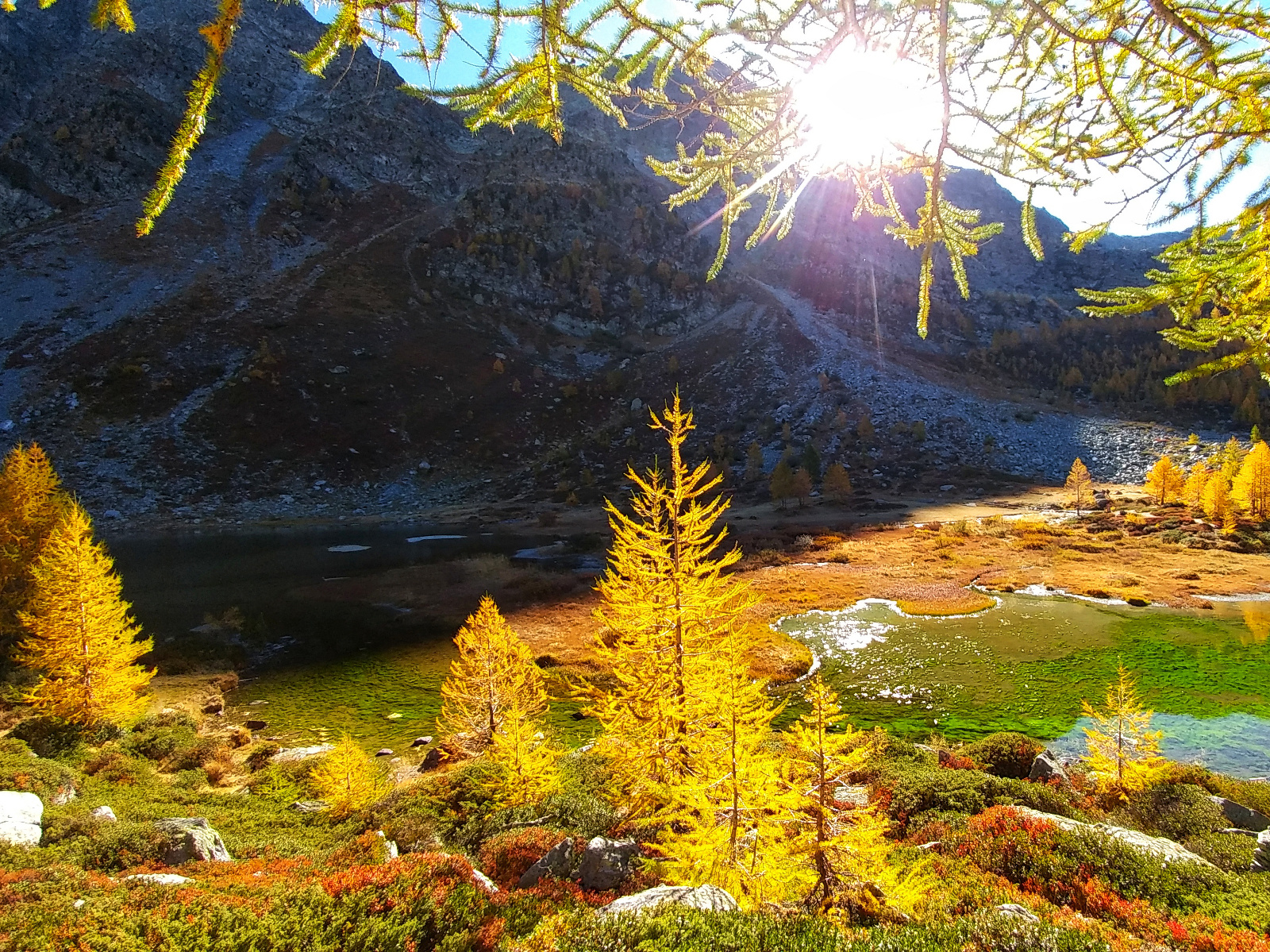 en automne