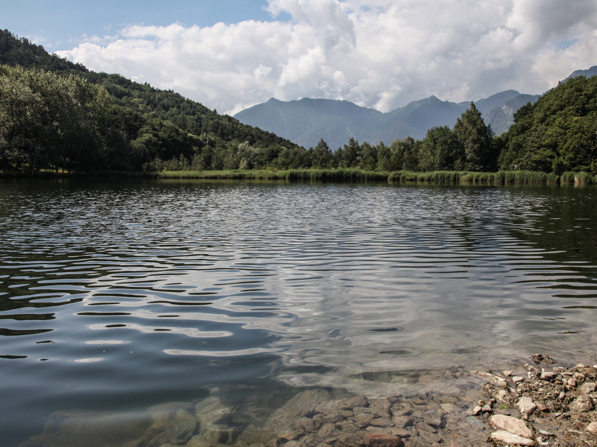 Riserva naturale Lago di Villa