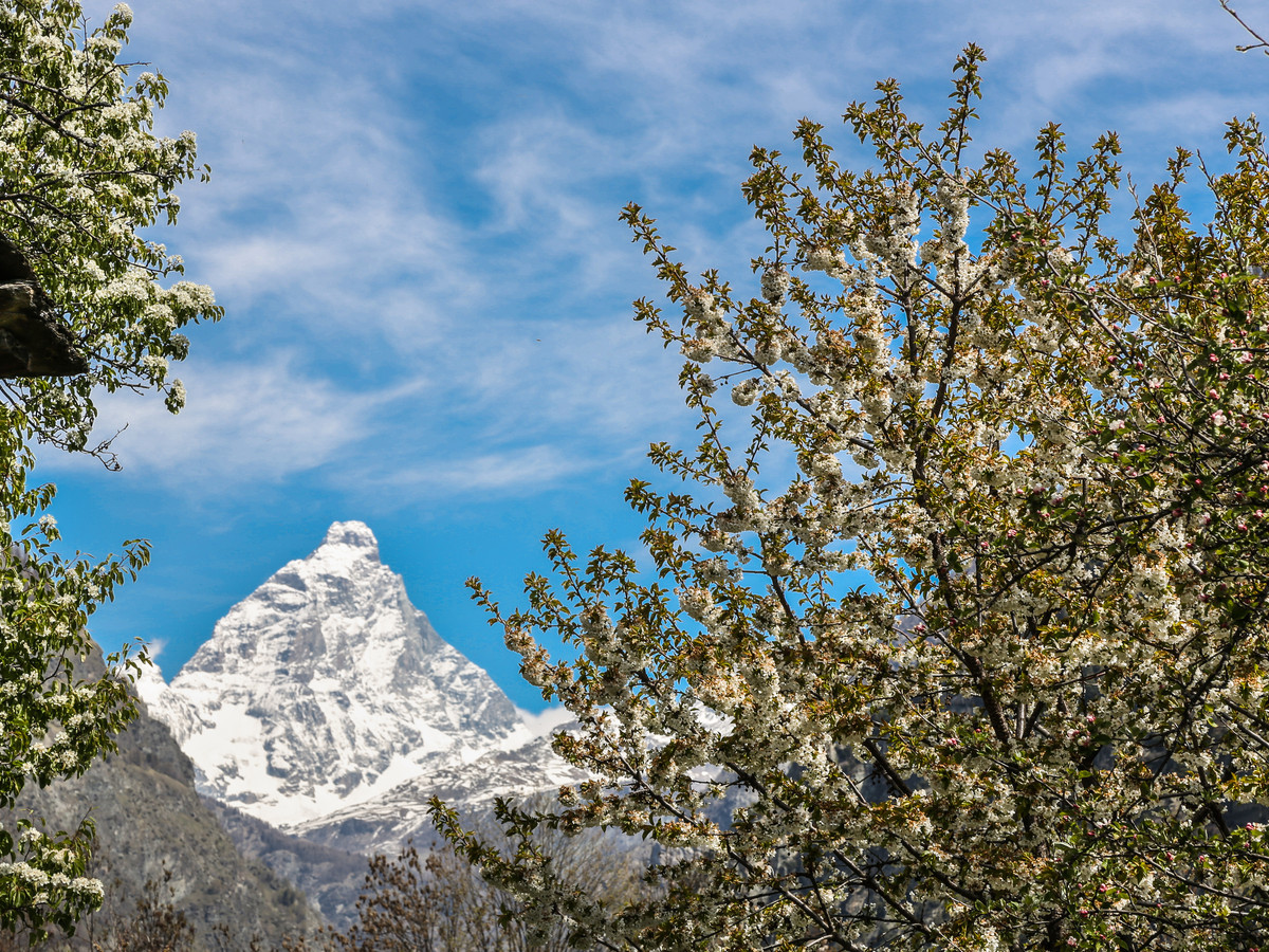 Mont Cervin