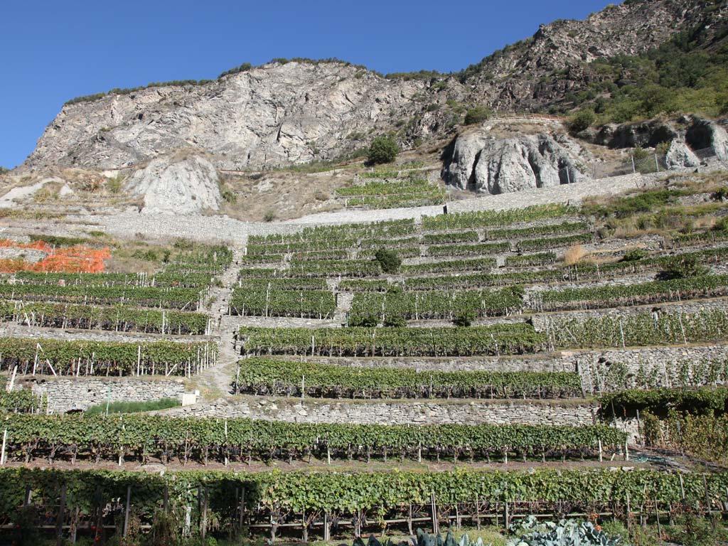 Enfer Weinberge in Arvier