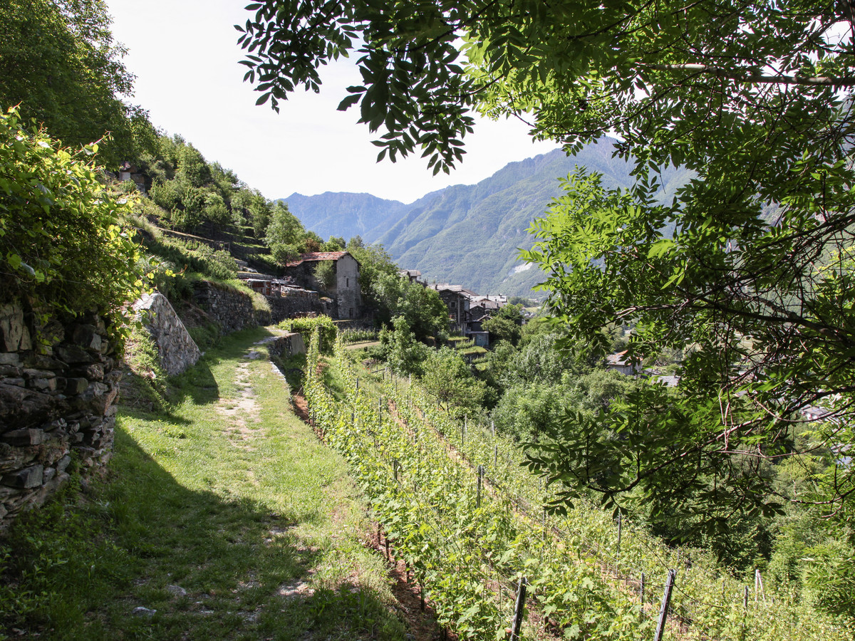 Following along the Via Francigena - Montjovet