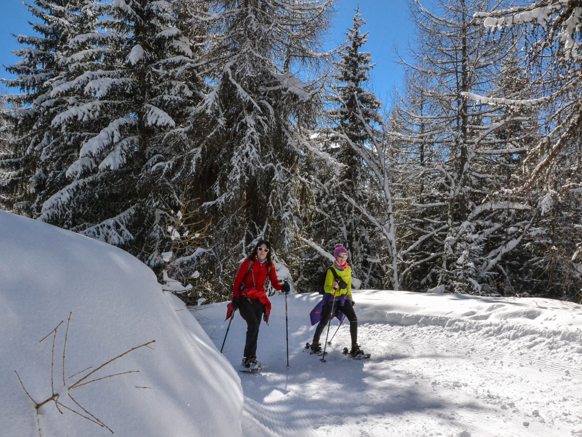 Snow-shoes in the wood