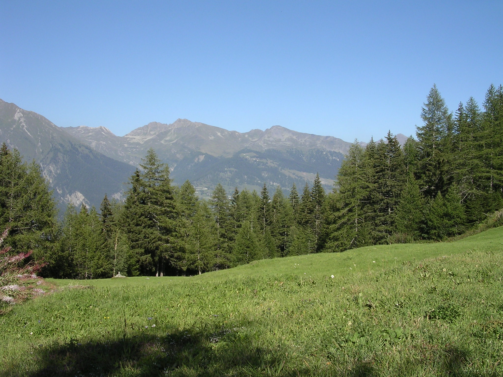 Salendo verso il bosco