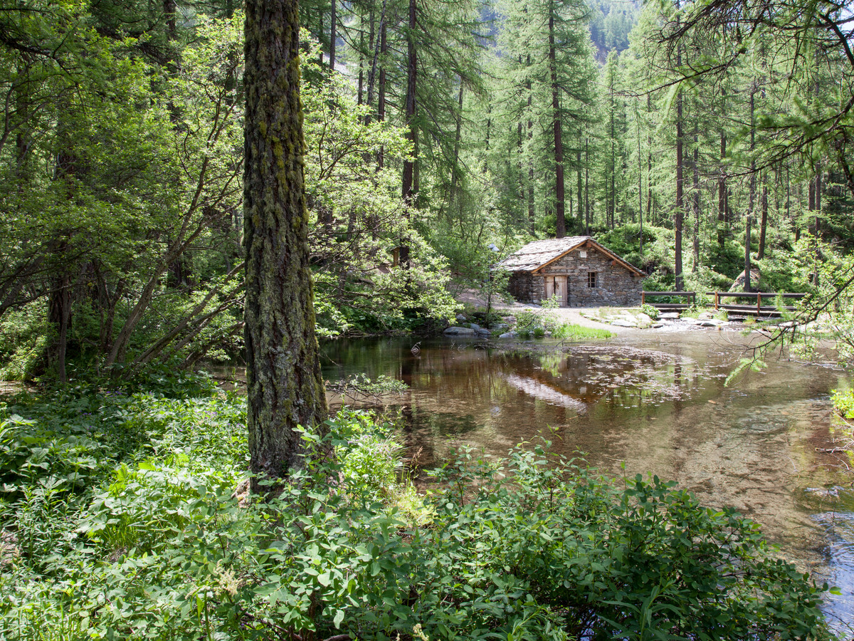 Pellaud lake