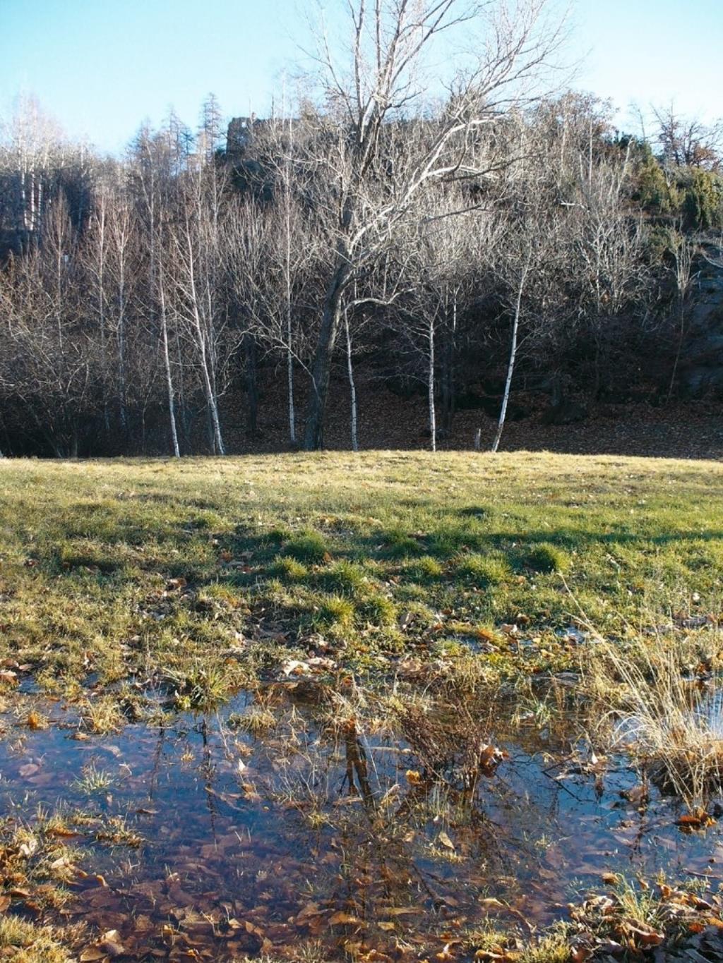 Reserva natural del pantano de Holay
