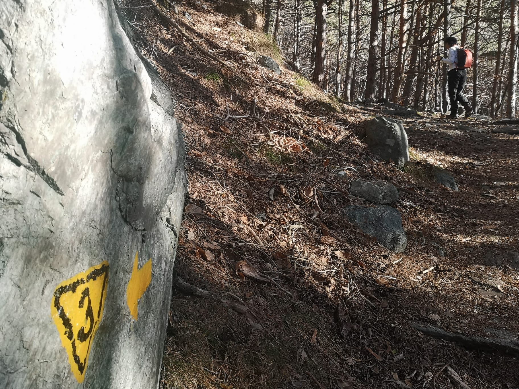 The trail in late autumn