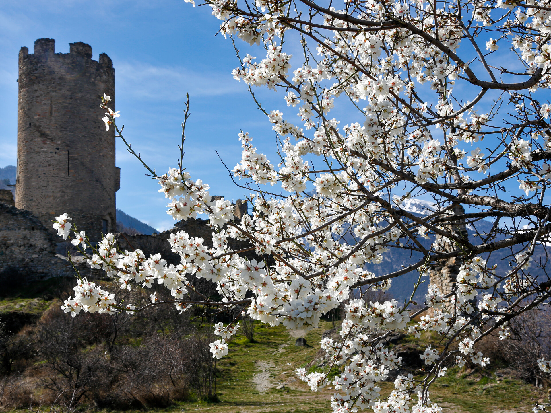 Châtel Argent - Villeneuve