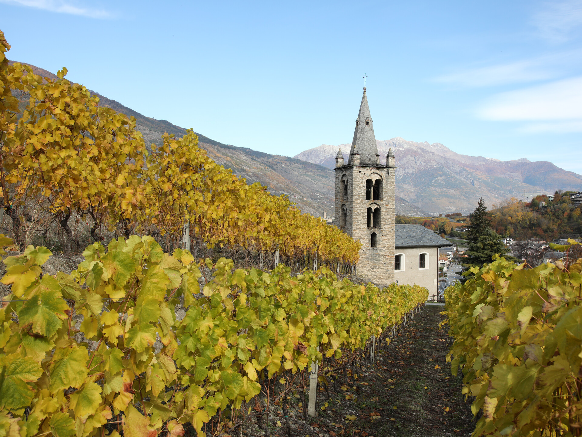 Otoño entre los viñedos cerca de Saint-Léger