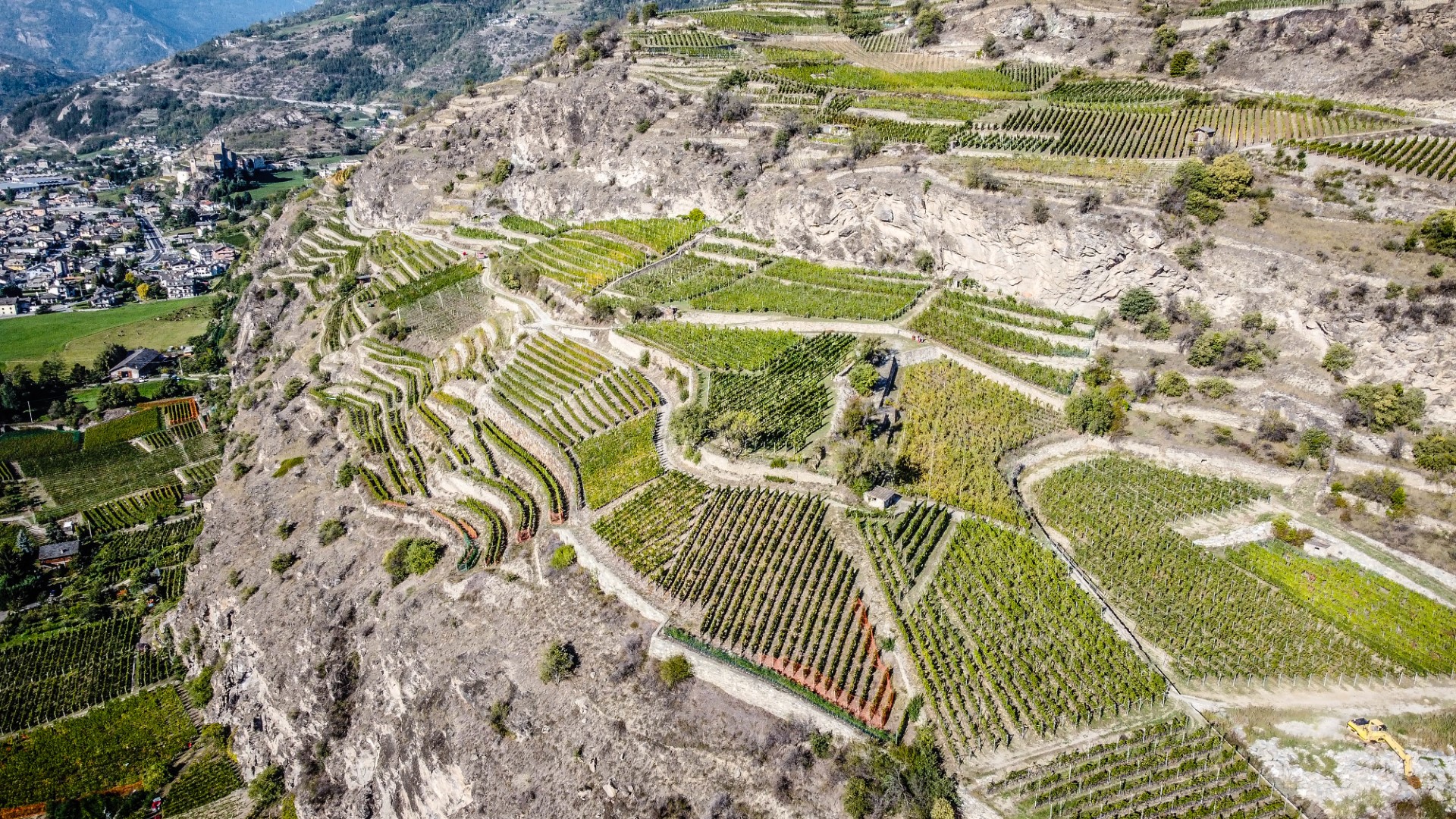 vignobles (zone aride avec un environnement xérique particulier)