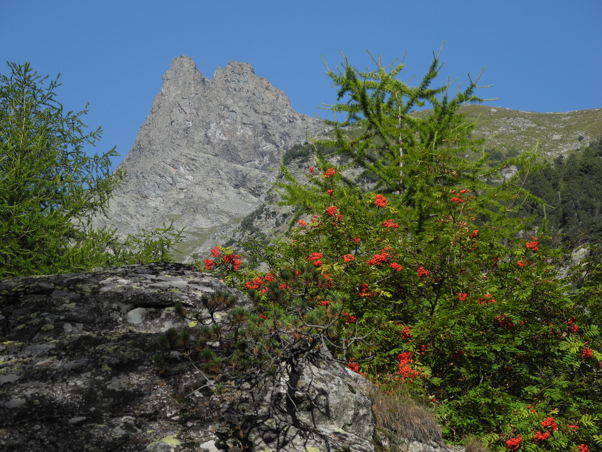 Mont Avic summit