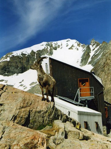 Externe en été