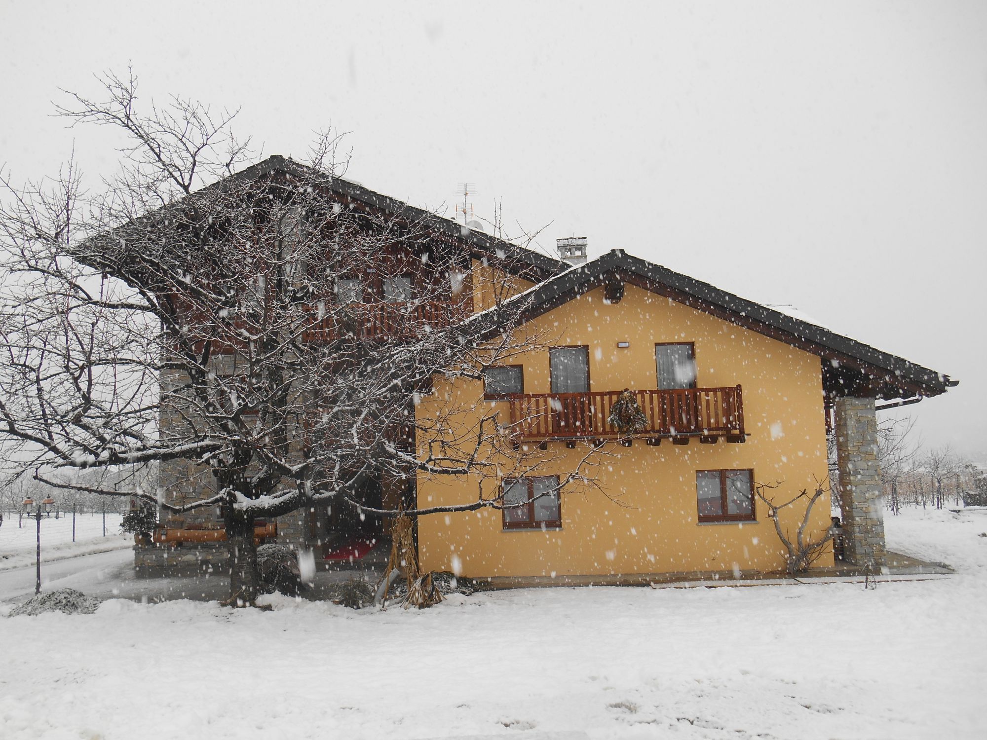 veduta sotto la neve