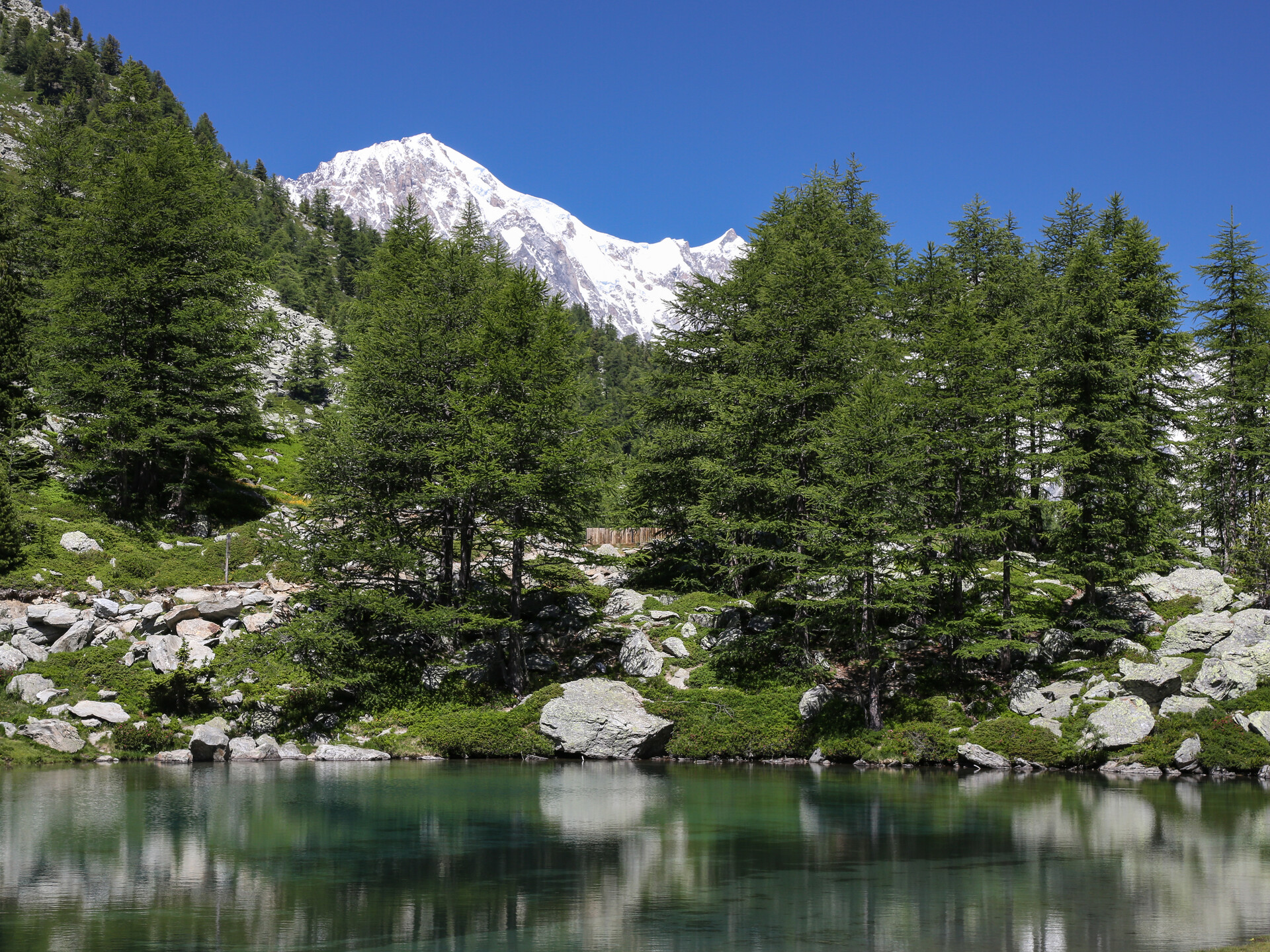 Vue sur le Mont Blanc depuis le lac d'Arpy