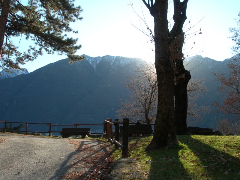 Arboretum Borna di Laou di Verrès