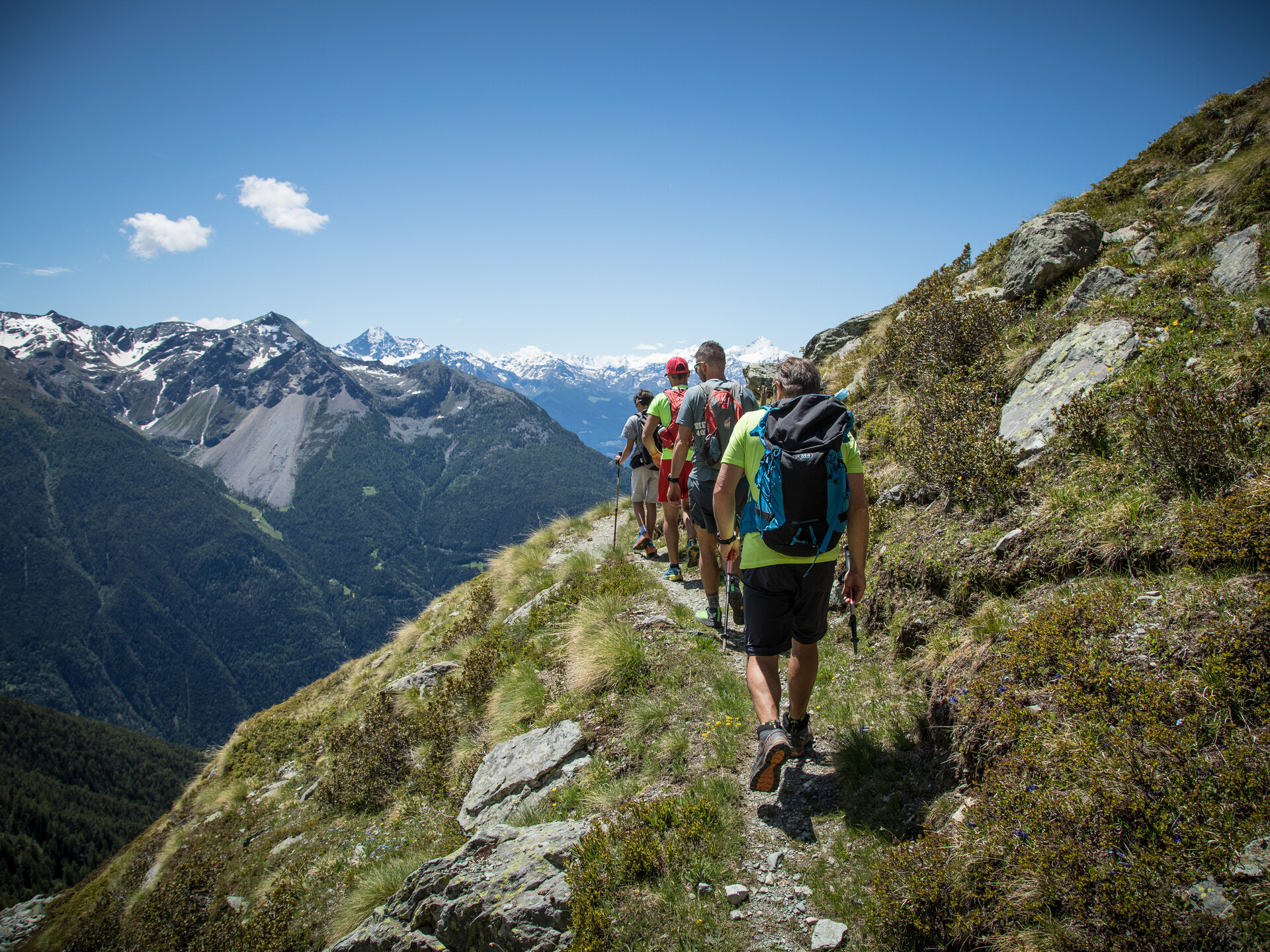 Escursionisti lungo l'Alta Via 1