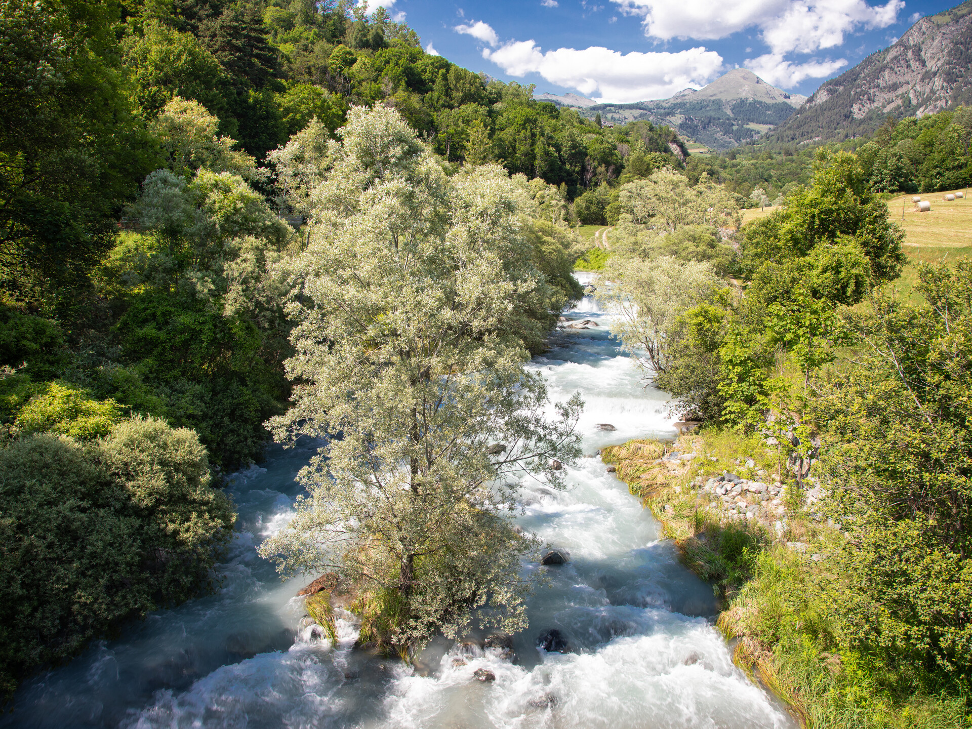  torrente Evançon - Ruvère - Challand-Saint-Anselme