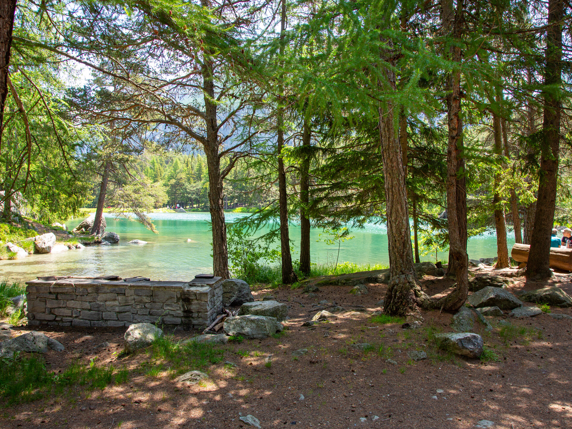 Area pic nic "Bosco di Lexert" - Bionaz