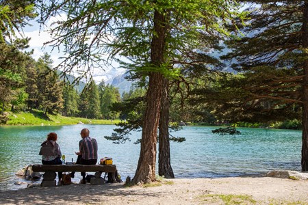 Area pic nic "Bosco di Lexert" - Bionaz