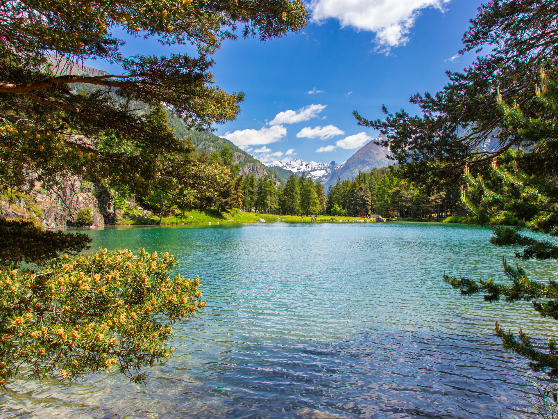 Lexertsee im Sommer - Bionaz