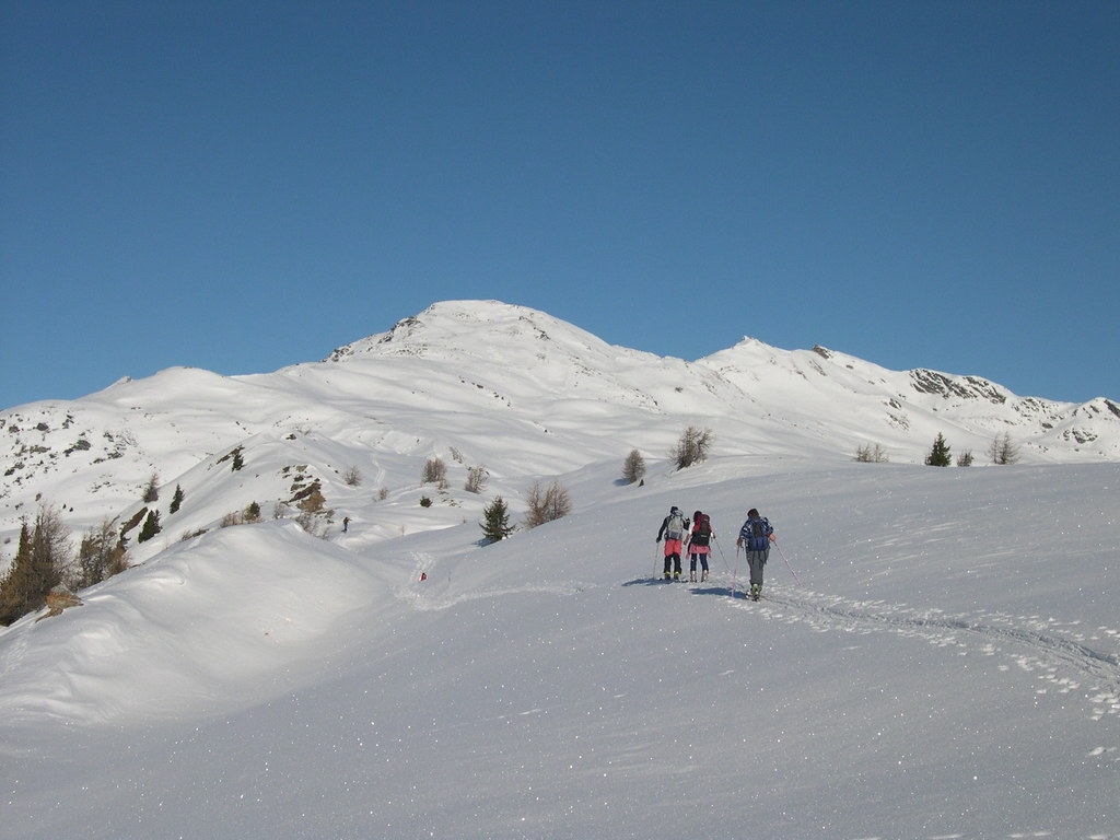 Sci alpinismo alla Punta Fetita - Avise