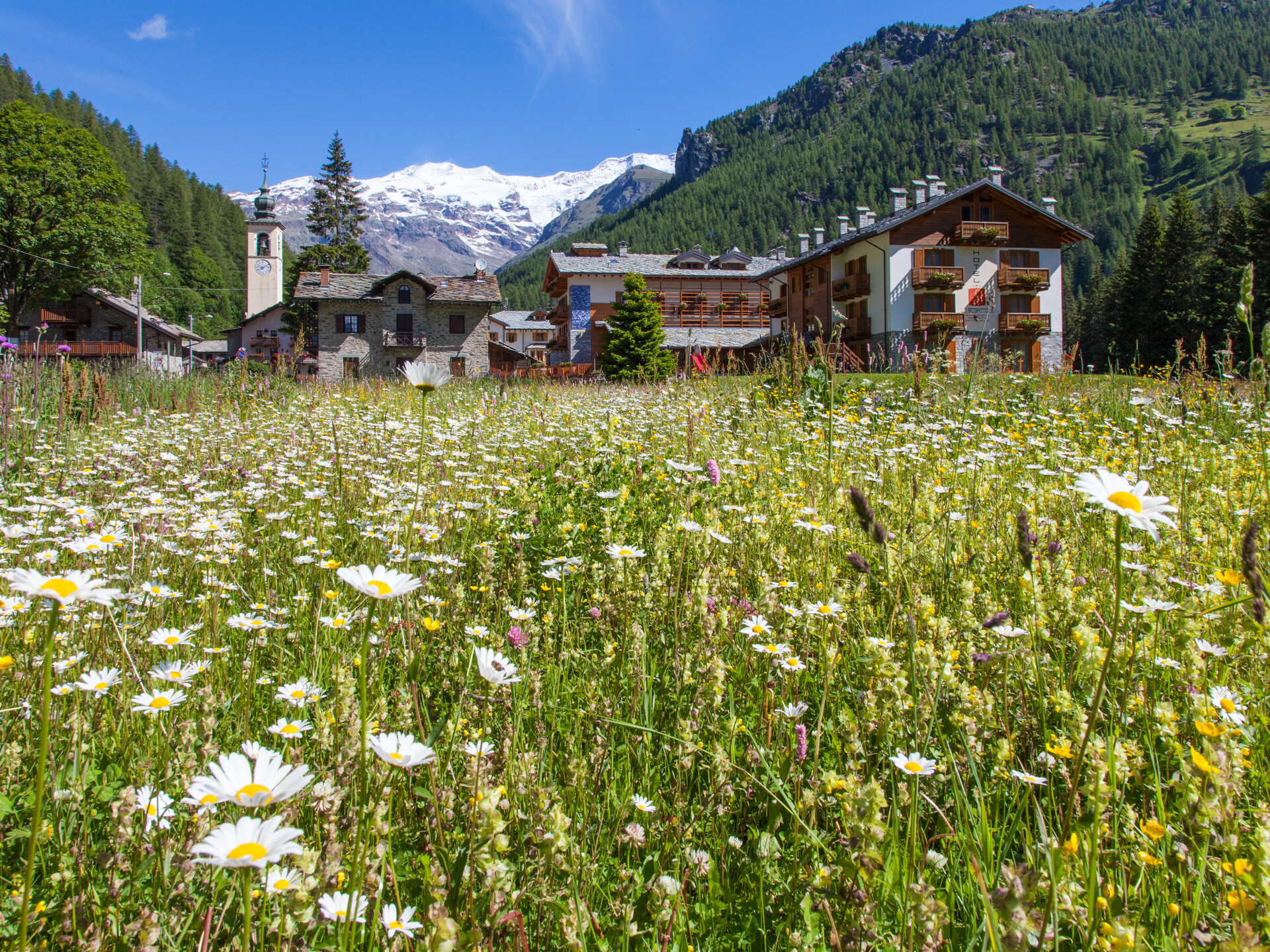 View over the village of Gressoney-La-Trinité