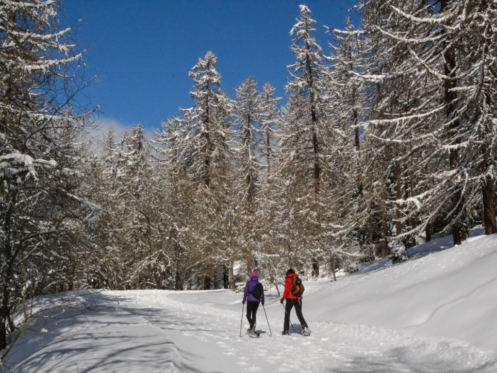 Escursione con le racchette da neve 