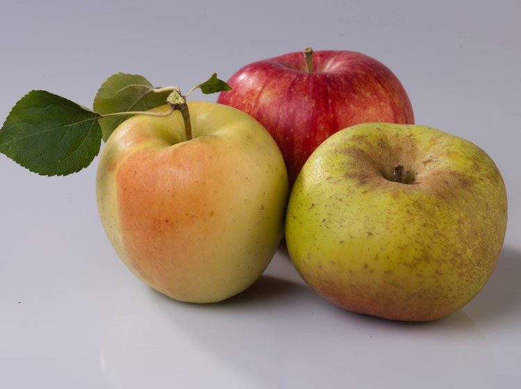 Mele della Valle d'Aosta (renetta, golden delicious e starking)