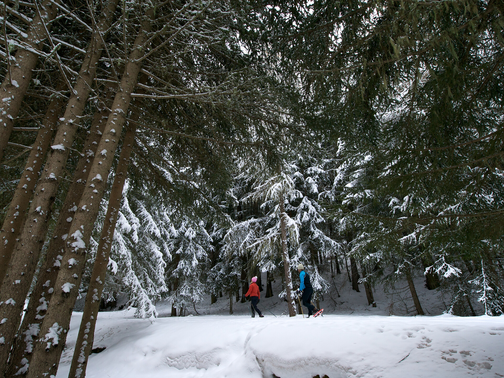 Racchette da neve 